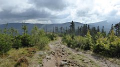 281_TZ60_P1150968_cr