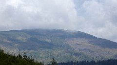 309_TZ60_P1150981_cr