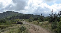 312_TZ60_P1150984_cr