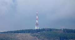 362_TZ60_P1160003_cr