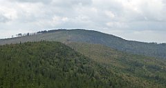 391_TZ60_P1160012_cr