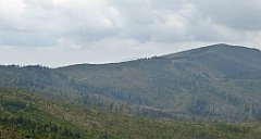 392_TZ60_P1160014_cr