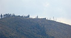 400_TZ60_P1160030_cr