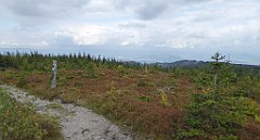 407_TZ60_P1160034_cr