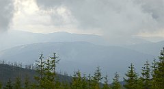 414_TZ60_P1160041_cr