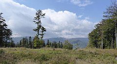 434_TZ60_P1160049_cr