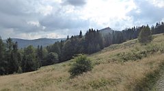 465_TZ60_P1160059_cr