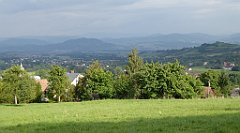 490_TZ60_P1160078_cr