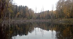 072_A806_IMG_20161027_092504_cr