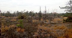 239a_A806_IMG_20161027_111250_cr