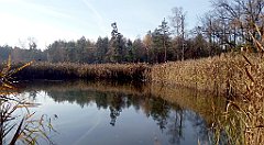 0149_A806_IMG_20161104_091022_cr