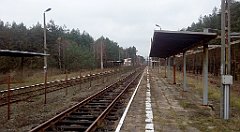 0121_A806_IMG_20161112_091924_cr