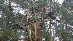 0303a_3D_P1140533_cr