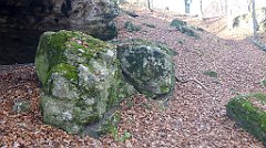 0398a_3D_P1140821_cr