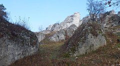 0104a_3D_P1150155_cr