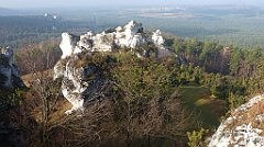 0165a_3D_P1150221_cr