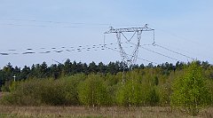 2016_05_01_Bydlino_Slupsk