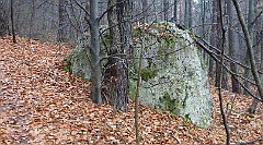 2016_11_25_Mirow_Morsko