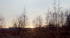 030_A806_IMG_20170102_081844_cr