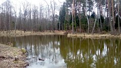 407_A806_IMG_20170321_095503