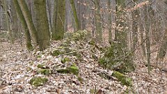 678_2017-03-29_14-12-22_3D_P1190011