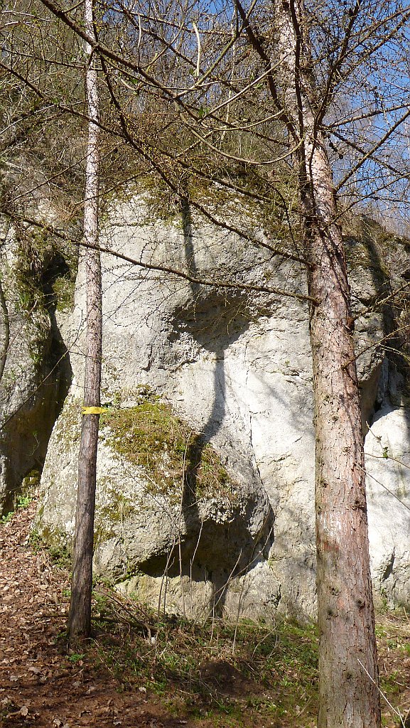 385_3D_P1190150.JPG