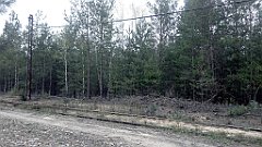 203_A806_IMG_20170503_092114