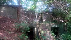 415_A806_IMG_20170811_104917