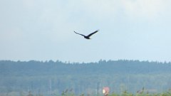 095_FZ72_P1000476