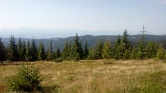 215_A806_IMG_20170826_094837