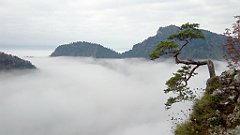 136_A806_IMG_20170930_084954