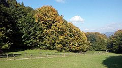 309_A806_IMG_20170930_115813