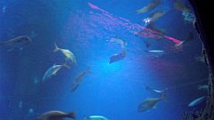 122_A806_IMG_20171210_105714