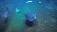 125_A806_IMG_20171210_105729