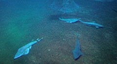 130_A806_IMG_20171210_105747