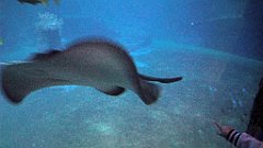 134_A806_IMG_20171210_105804