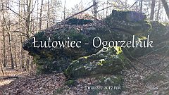 2017_03_05_Lutowiec_Ogorzelnik