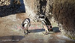 2017_12_10_Wroclaw_ZOO
