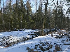 283_iP_20180212_213