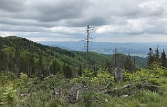 383_iP_180514_IMG_1246