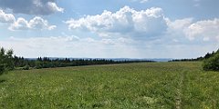 395_iP_180601_IMG_1625