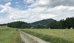 153_ip_20180712_IMG_2102