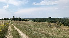 222_iP_180809_IMG_2350