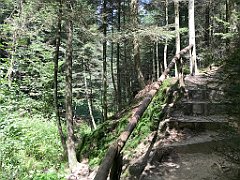 263_ip_20180812_IMG_2370