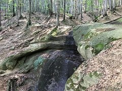 082_iP_180821_IMG_2495