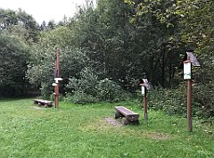 479_iP_180821_IMG_2543