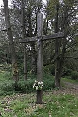 485_iP_180821_IMG_2550