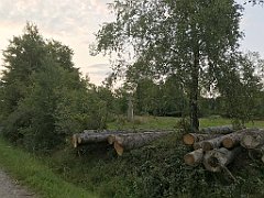 405_iP_180828_IMG_2956