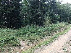 413_iP_180828_IMG_2965