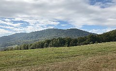 183_iP_180928_IMG_2983